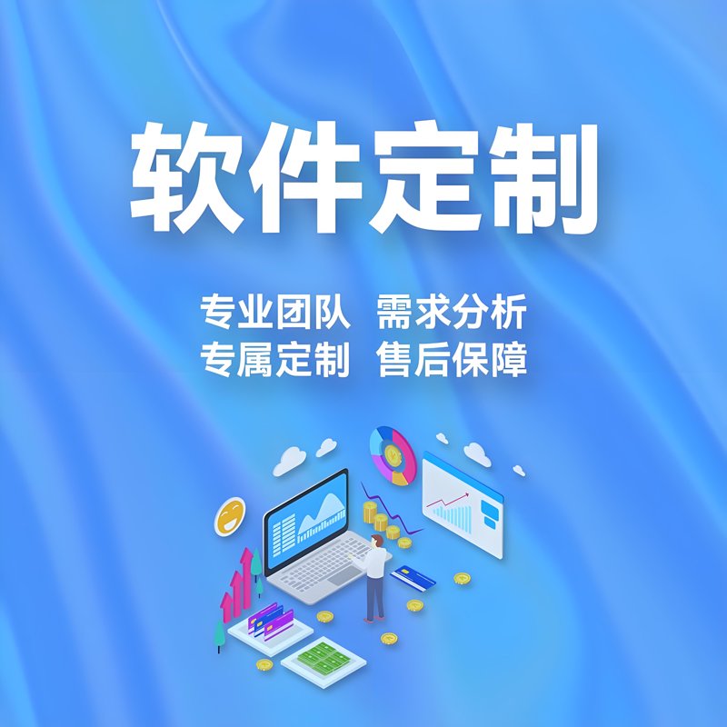 软件开发定制